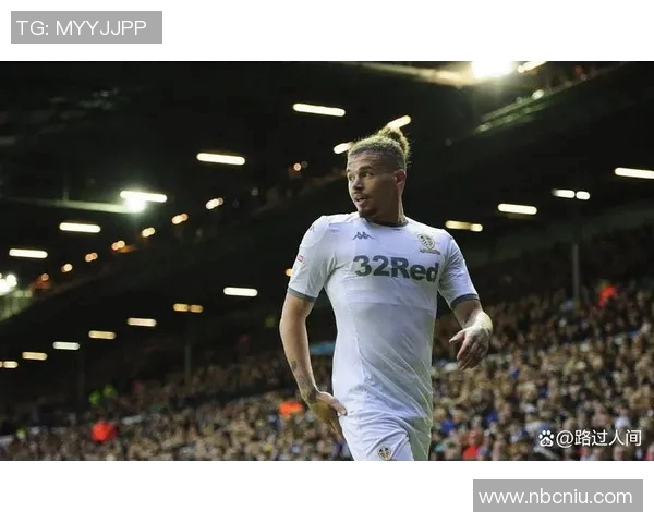 利兹联主场迎战诺维奇期待精彩对决双方争夺英冠宝贵积分