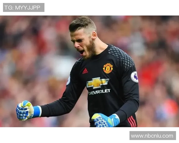 迈尼昂：从青涩小将到世界级门将的华丽蜕变之路