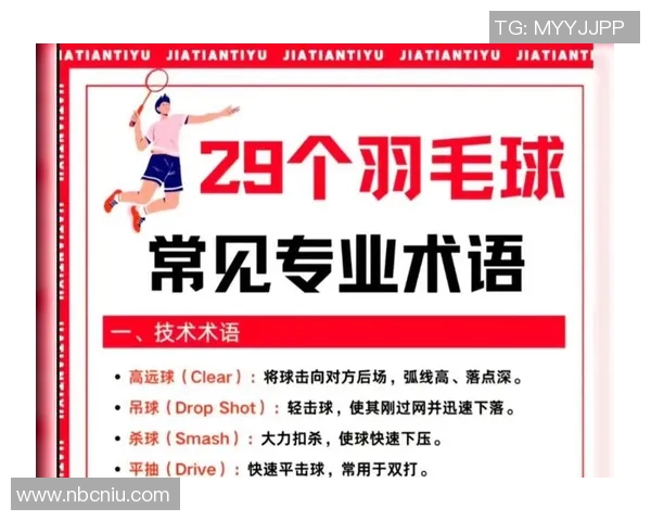 上海羽毛球队的精神与发展探索:从竞技到文化的全面解析 上海羽毛球队的精神与发展探索:从竞技到文化的全面解析