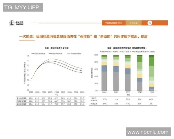 专业解析LNG市场转换策略及其对能源行业的影响分析 专业解析LNG市场转换策略及其对能源行业的影响分析