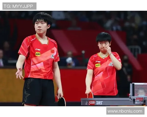 南京乒乓球队配合策略深度解析与其他球队的对比研究